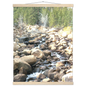 0986e461-2cd7-42c6-ab16-1a7c022ebc72