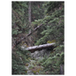 12e57c07-badc-4e53-9860-270043b33b83