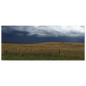 540ac25e-56d0-4fad-85bd-cc8cad41a149