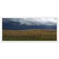 8040bf32-1857-49e0-b518-b6c2d1ef0d48