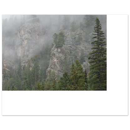 8768aced-0c22-4cda-aac5-80429f22a8b7
