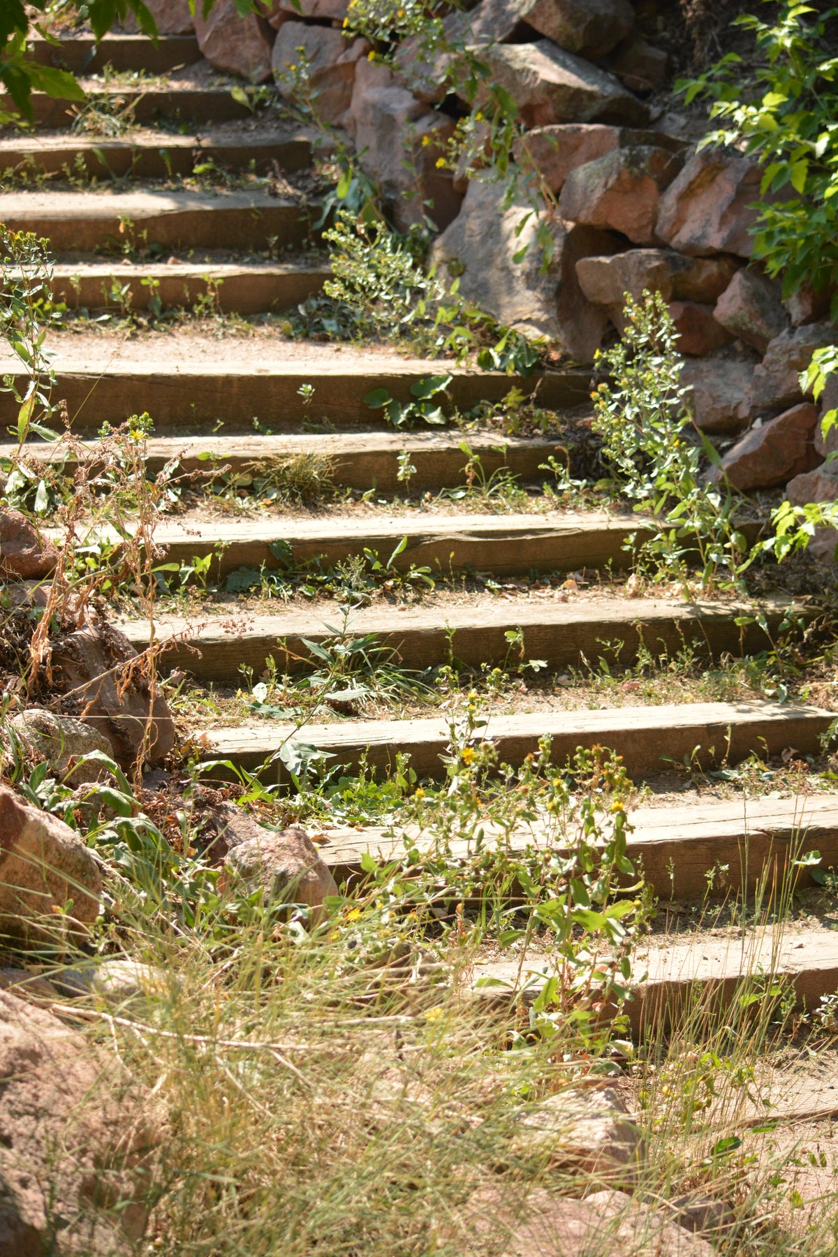 Hidden Stairway Digital Print