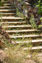 Hidden Stairway Digital Print