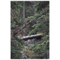 b5ff128e-8487-4ed2-95aa-a050021ee709