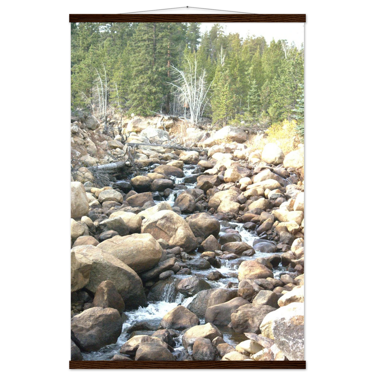 cd2f0846-4f70-485f-b70e-04315f269f44