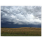 deb43b37-f7c2-4932-a7bf-ed9a1a5736b3