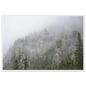 ec648b64-fe08-4687-b779-4ae1439cee90