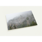 efde3947-2635-4e5b-9221-747cd54837df