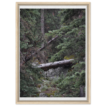 fbdbfa6e-7009-4cf6-8410-0690434ceed4