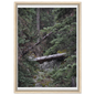 fbdbfa6e-7009-4cf6-8410-0690434ceed4